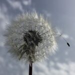 Grief Reiki